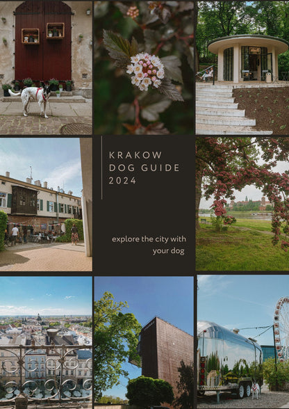 Krakow Dog Guide